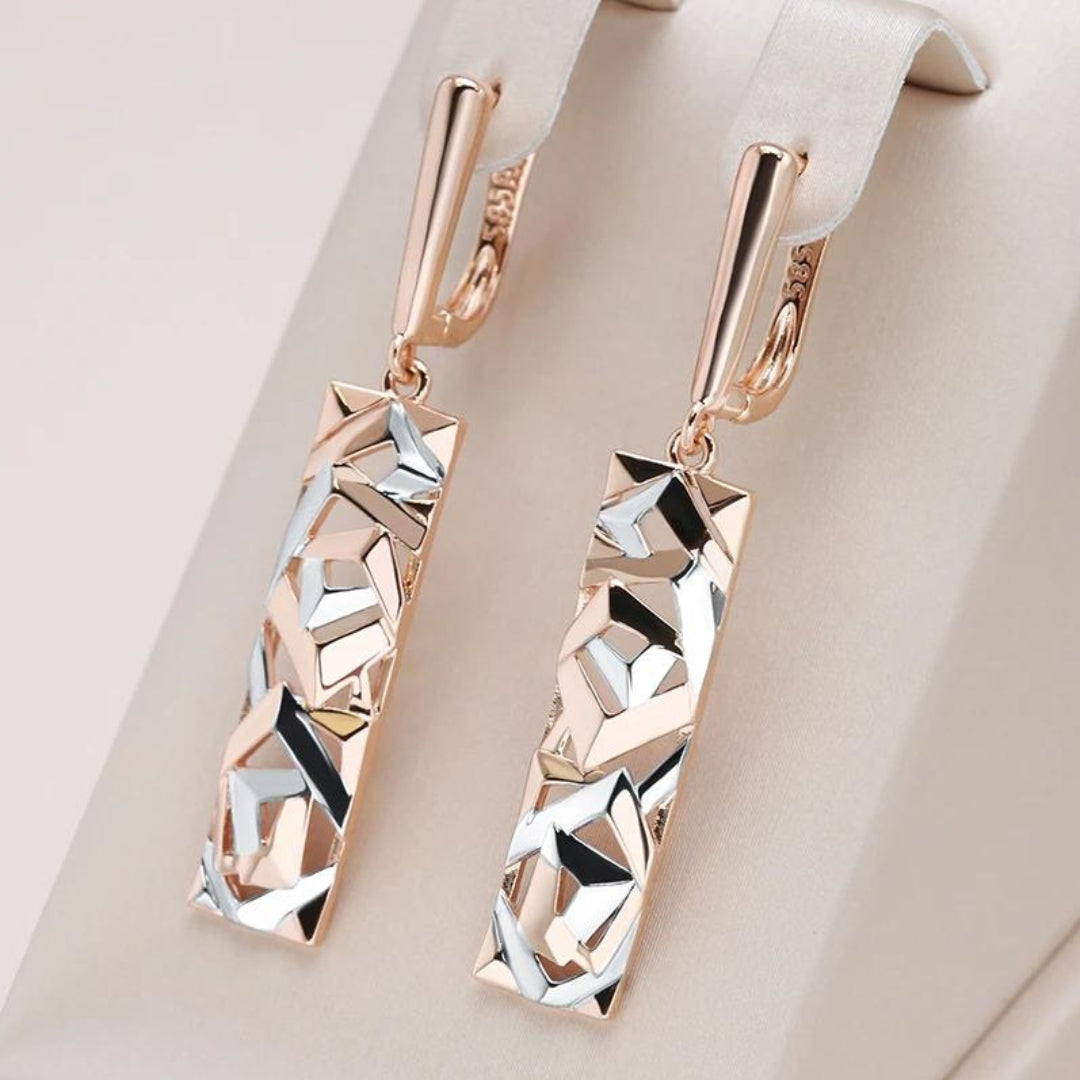 Elegant Rectangular in Gold and Silver Earrings