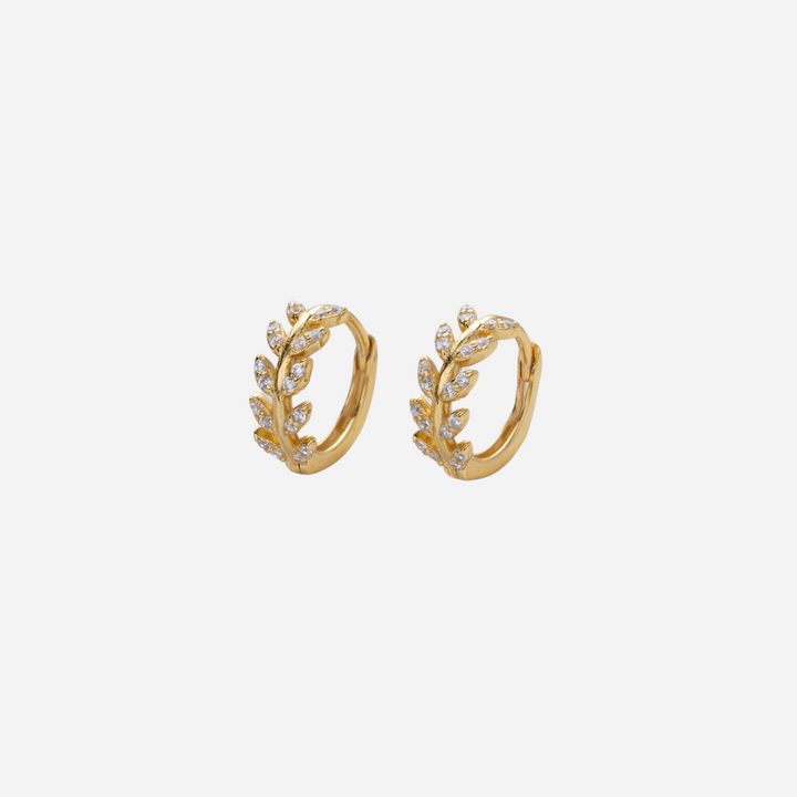 Elegant Zirconia Earrings